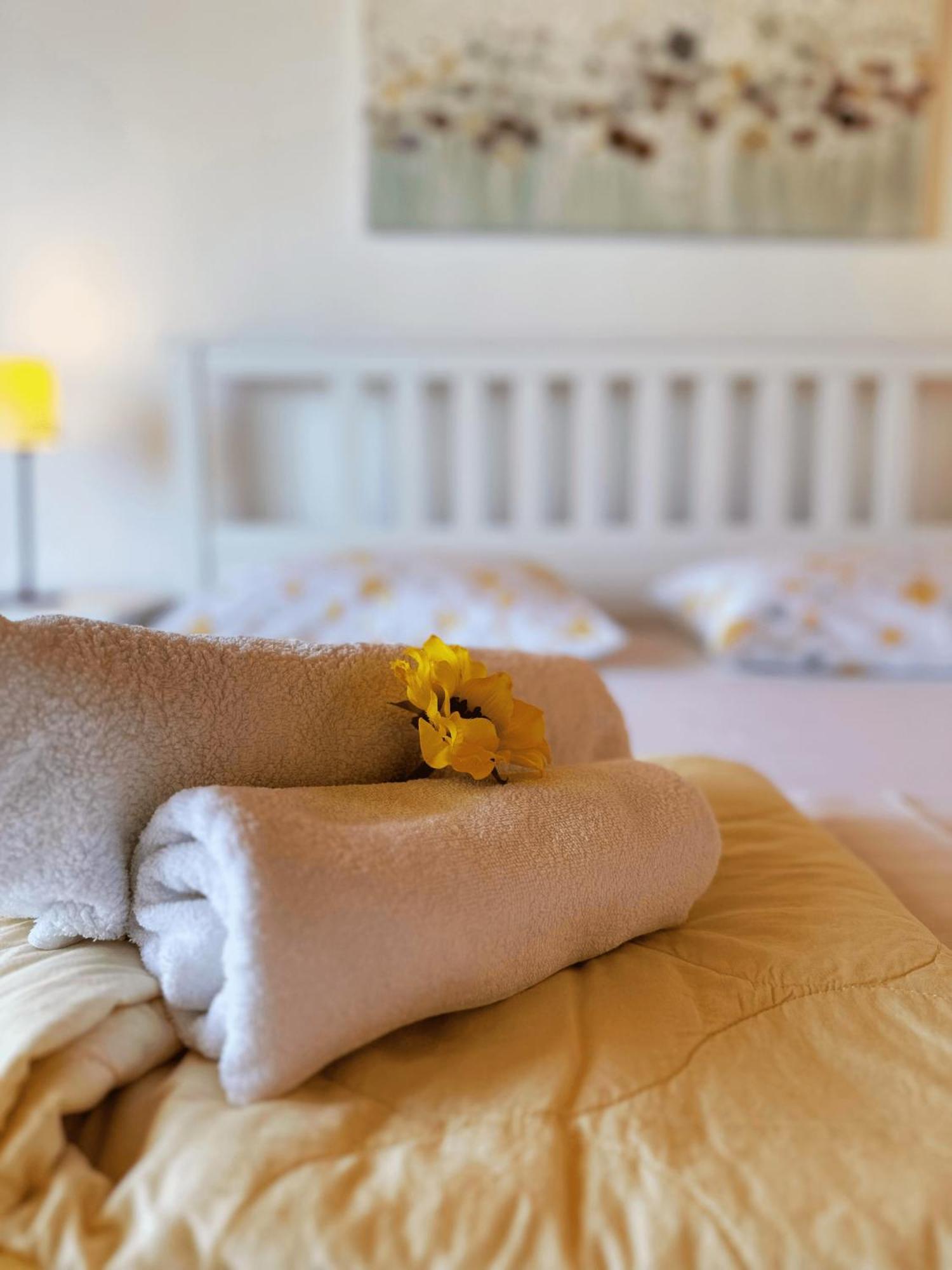 Apartments Vilma Μούρτερ Εξωτερικό φωτογραφία
